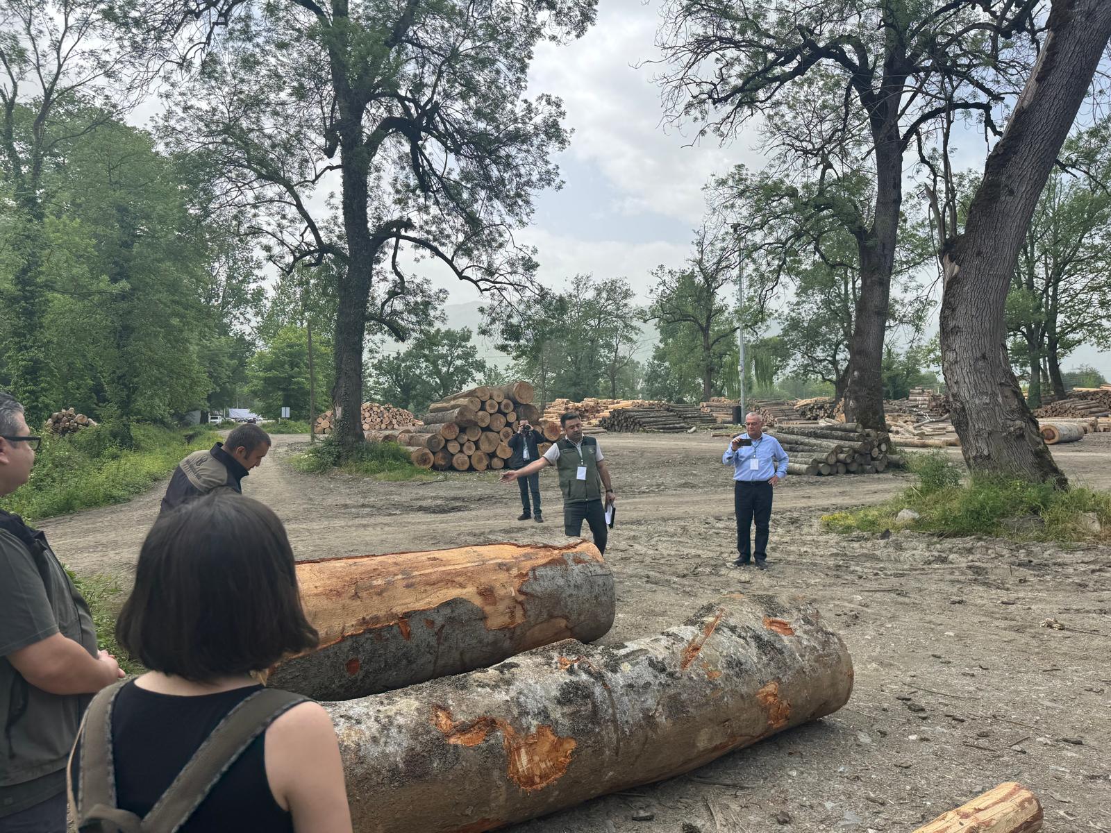 WhatsApp Image 2025-05-24 at 14.10.51 (3)